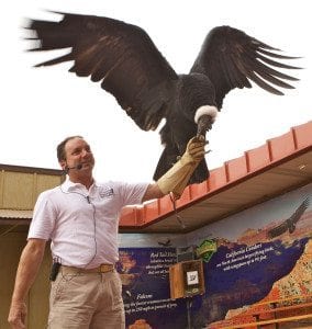 Condor Encounter Bird Show at Grand Canyon