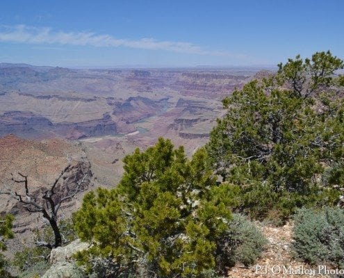 Desert View Grand Canyon