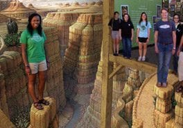 Kurt Wenner Grand Canyon 3D Art