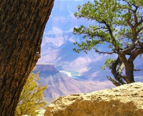 Zion Bryce Grand Canyon