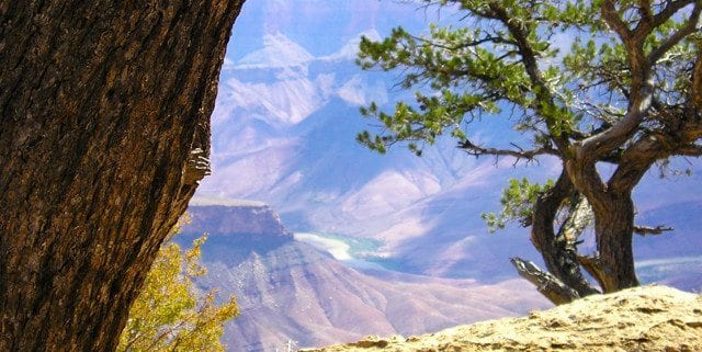 Zion Bryce Grand Canyon