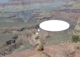 Grand Canyon Photo Caption Contest