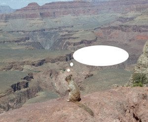 Grand Canyon Photo Caption Contest