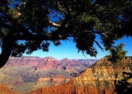 Grand Canyon great views