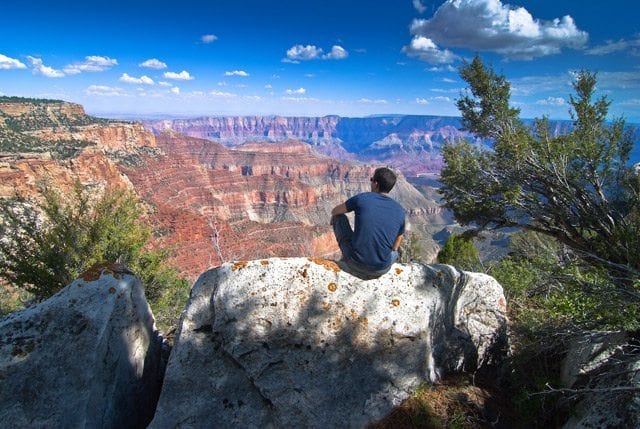 Grand Canyon Resting