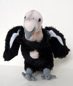 Stuffed Condor