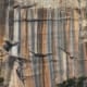 5 reasons to visit grand canyon north rim