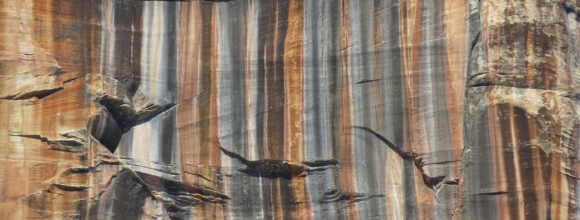 5 reasons to visit grand canyon north rim