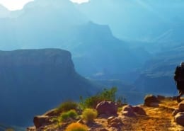 Grand Canyon Email signup
