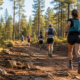 Grand Canyon Trail Marathon 2026